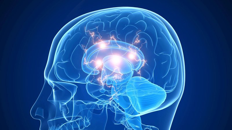 上海软件开发：引领创新的数字脉搏