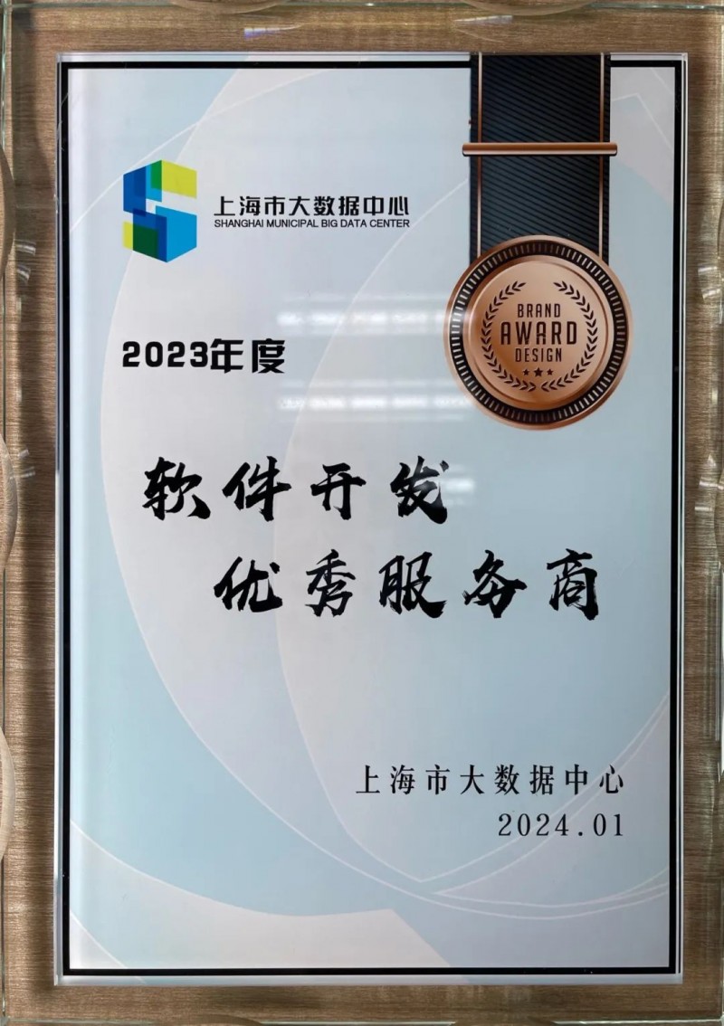 上海软件开发：助力企业数字化转型